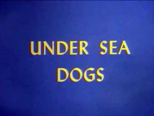 Chilly Willy - Under Sea Dogs